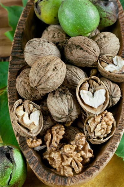 Juglans regia 'Mars'