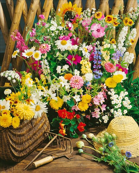 Summerflowers mixed bouquet