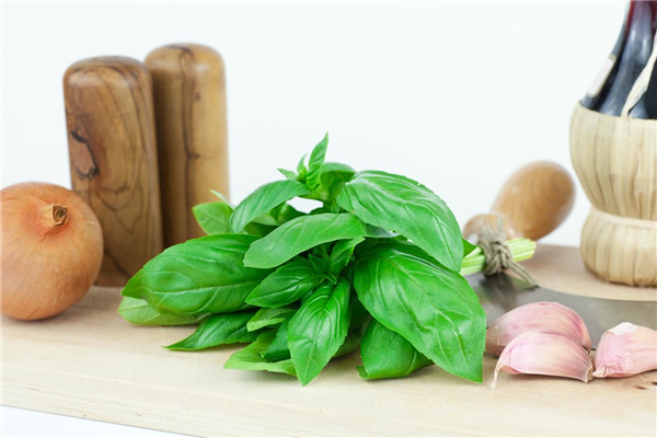 Ocimum basilicum Genoveser