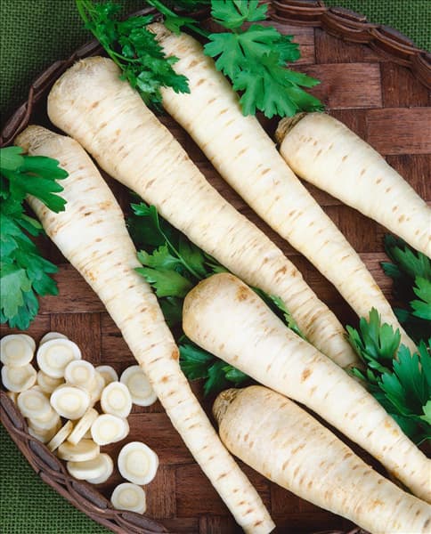 Petroselinum crispum var. tuberosum