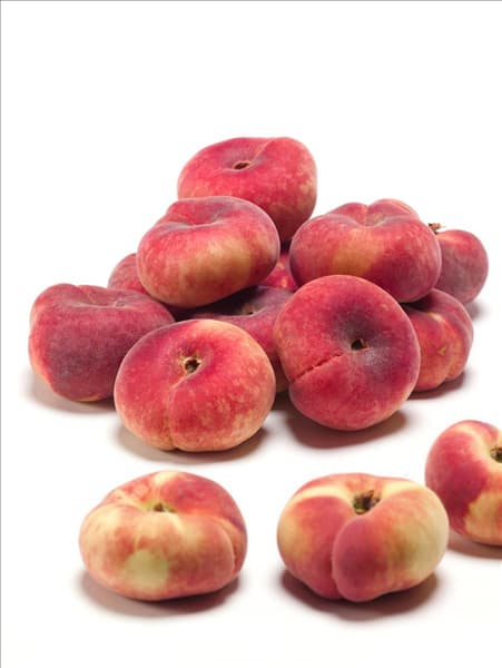 Prunus persica var. persica