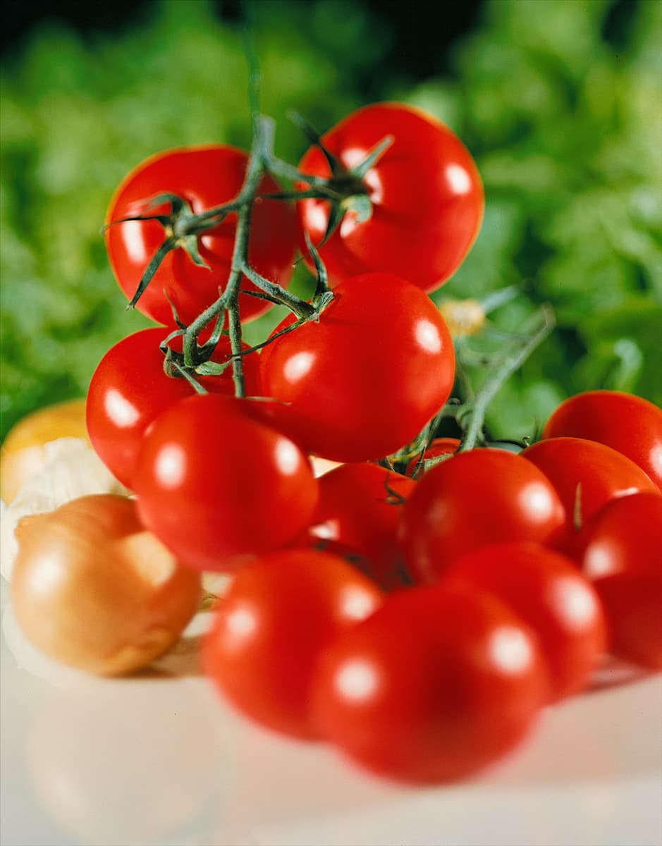 Arrangement mit Tomaten und Zwiebel
