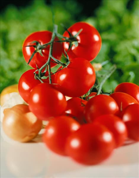 Arrangement mit Tomaten und Zwiebel