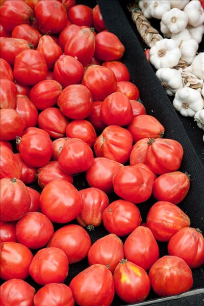 Tomaten Ochsenherz