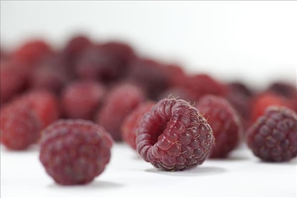 Rubus idaeus