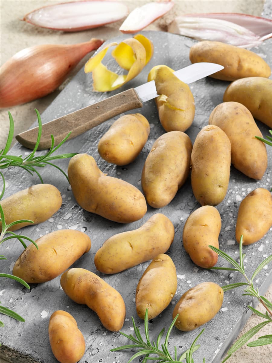 Solanum tuberosum Paru