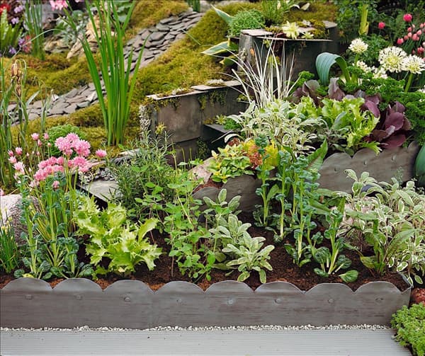 Kräutergarten mini