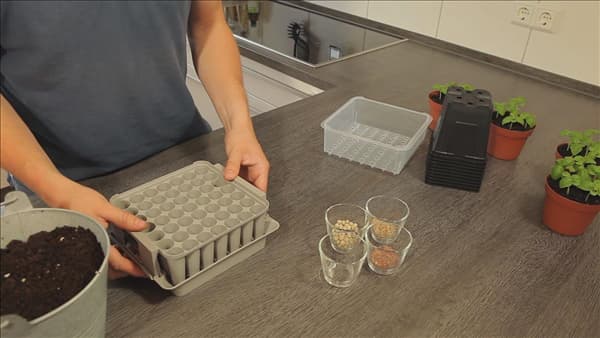 Tomaten - Aussäen von Samen (thumbnail)