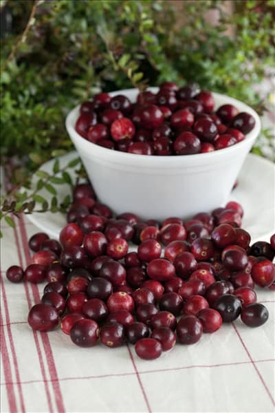 Vaccinium macrocarpon Red Star ®