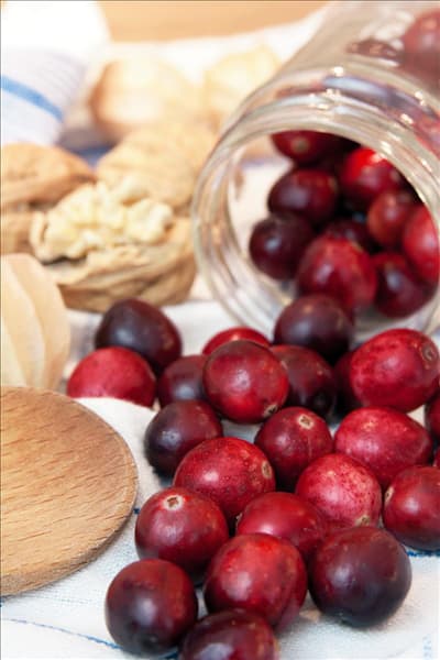 Vaccinium macrocarpon Red Star ®