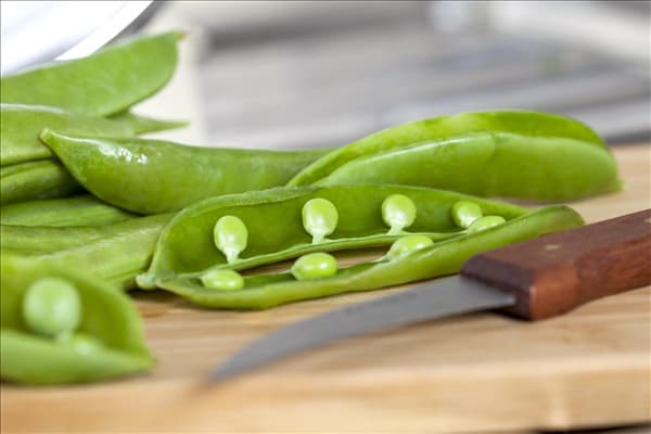 Pisum sativum