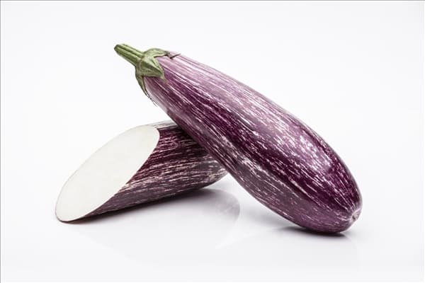 Solanum melongena