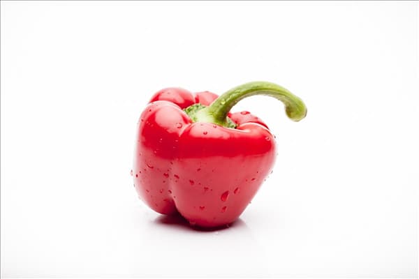 Capsicum annuum