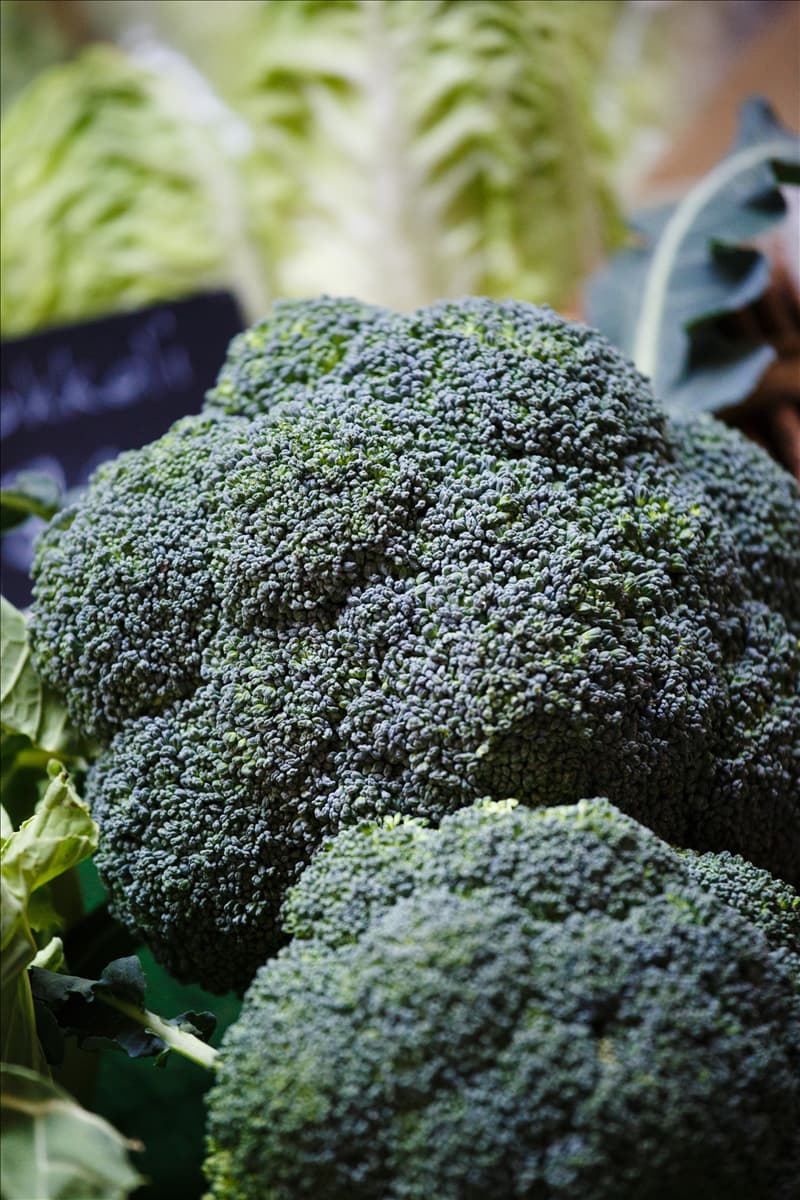 Brassica oleracea var. italica