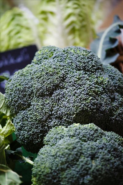 Brassica oleracea var. italica