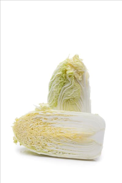 Brassica rapa subsp. pekinensis