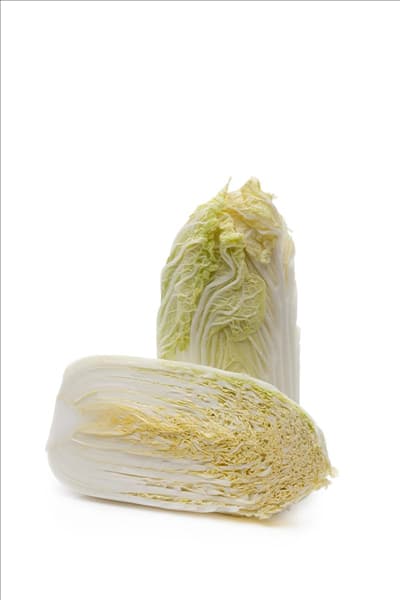 Brassica rapa subsp. pekinensis