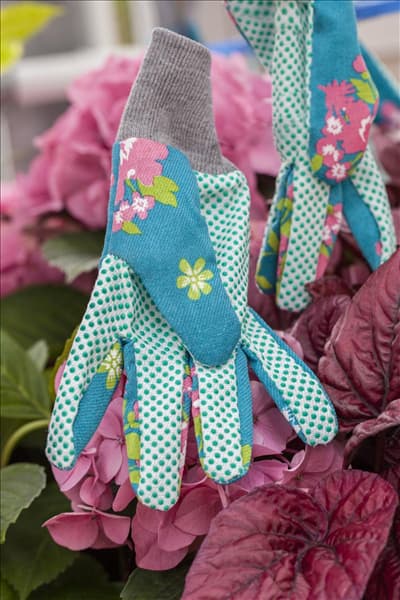 Handschuhe