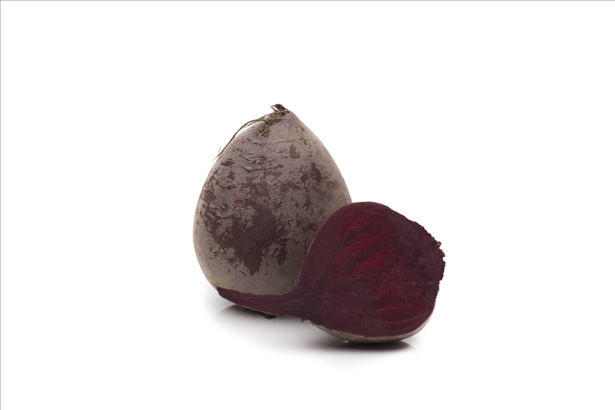 Beta vulgaris