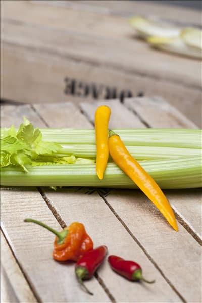 Capsicum annuum var. longum