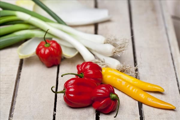Capsicum annuum var. longum