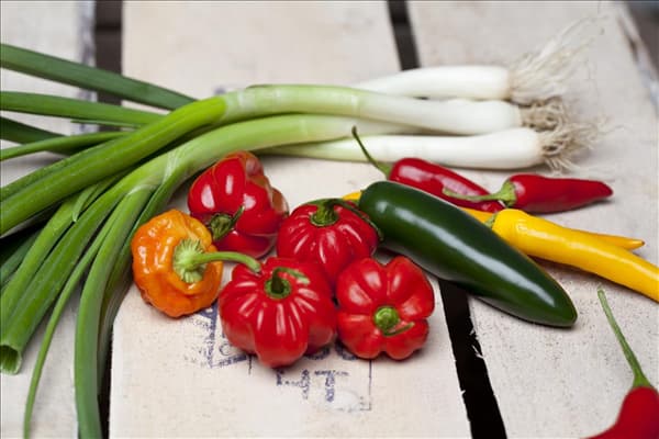 Capsicum annuum var. longum