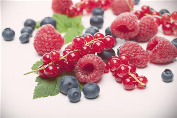 Rubus idaeus
