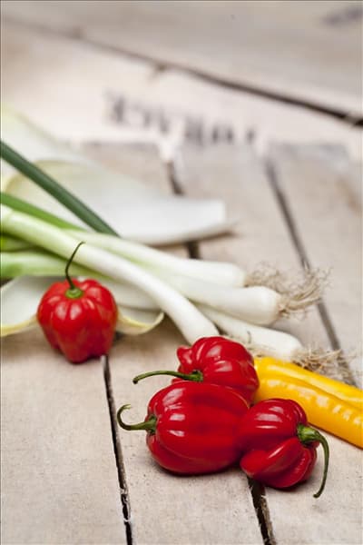 Capsicum chinense