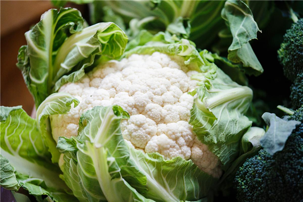 Brassica oleracea var. botrytis