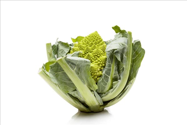 Brassica oleracea var. botrytis