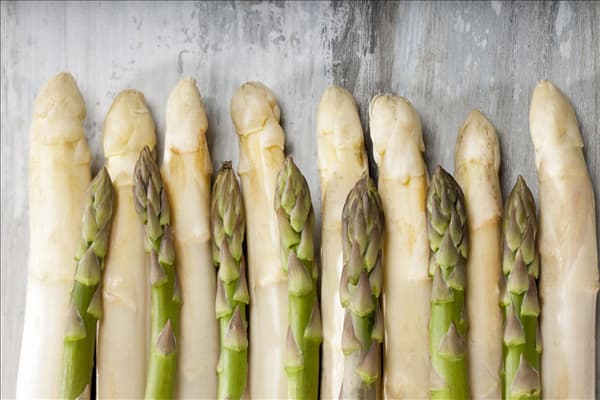 Asparagus officinalis