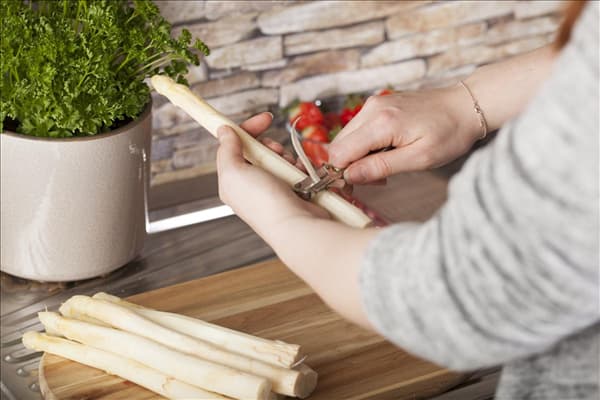 Asparagus officinalis