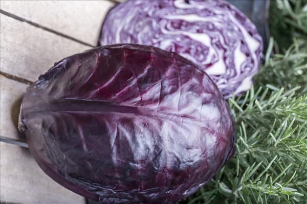 Brassica oleracea var. capitata f. rubra