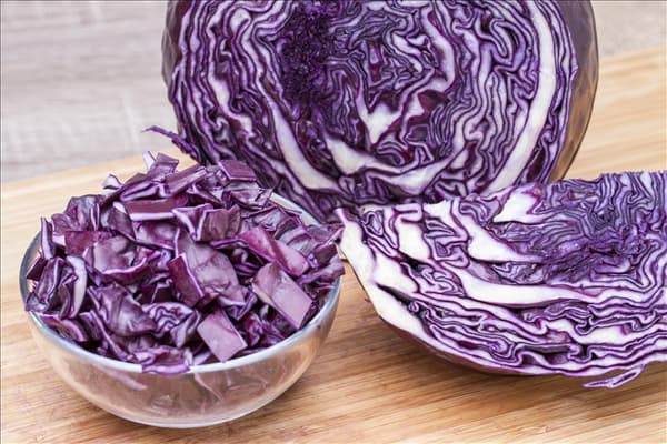 Brassica oleracea var. capitata f. rubra