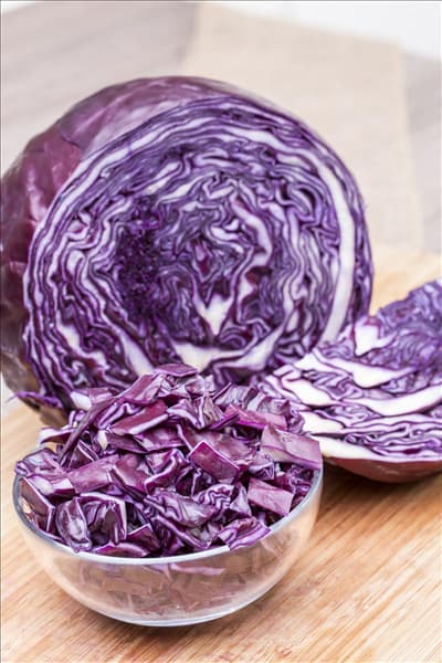 Brassica oleracea var. capitata f. rubra