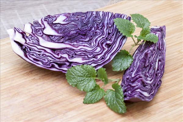 Brassica oleracea var. capitata f. rubra