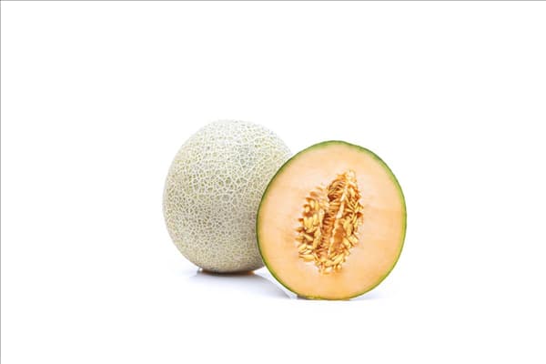 Cucumis melo 'Galia'
