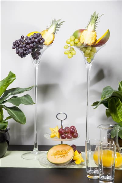 Vitis vinifera