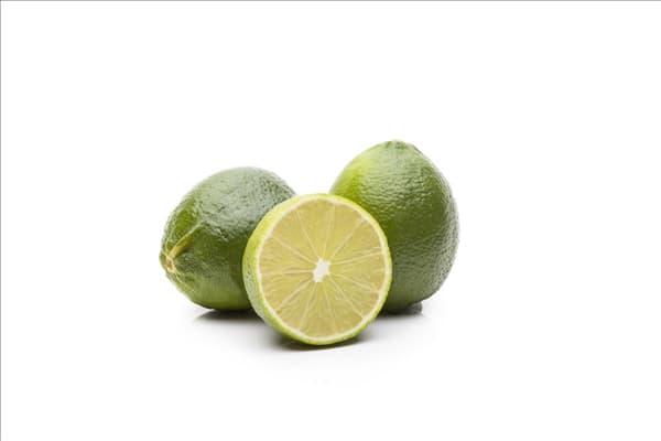 Citrus latifolia
