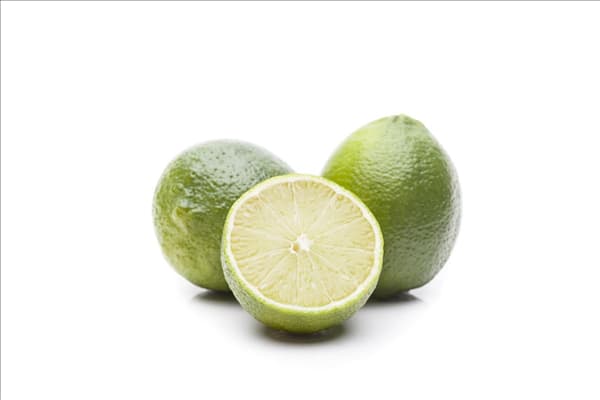 Citrus latifolia