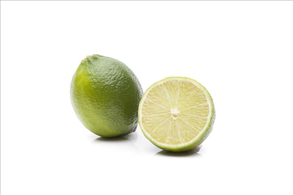 Citrus latifolia