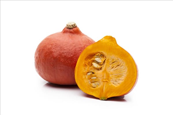 Cucurbita maxima
