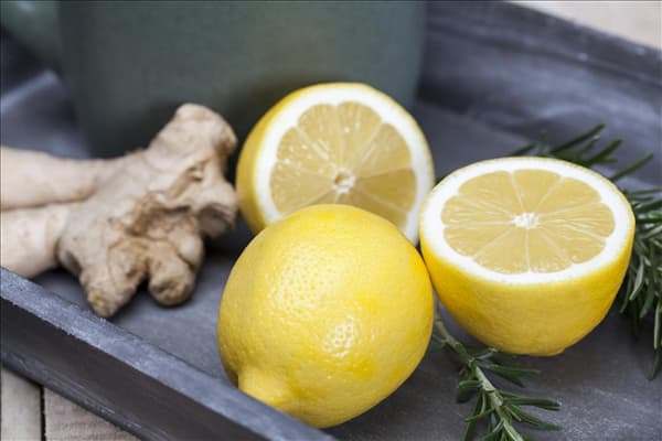 Citrus limon