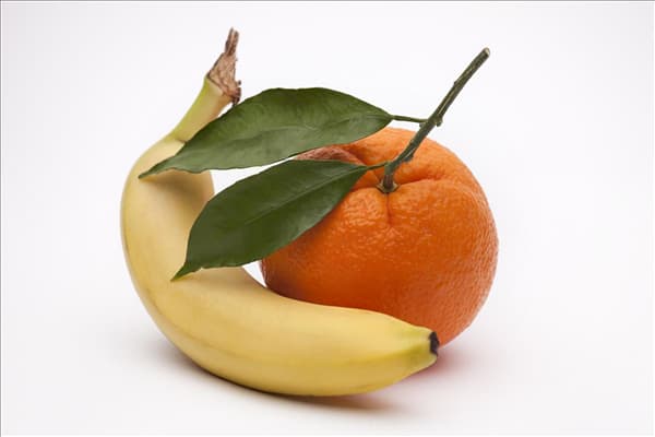 Citrus sinensis