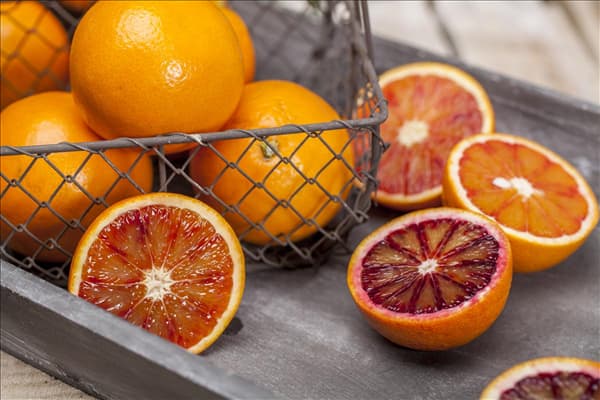 Citrus sinensis