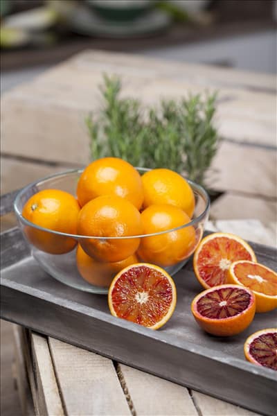Citrus sinensis