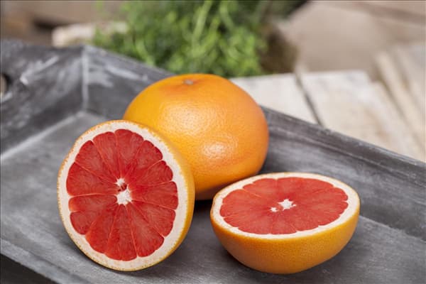 Citrus sinensis