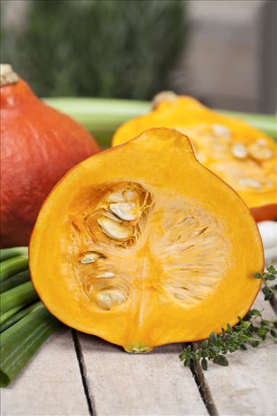 Cucurbita pepo
