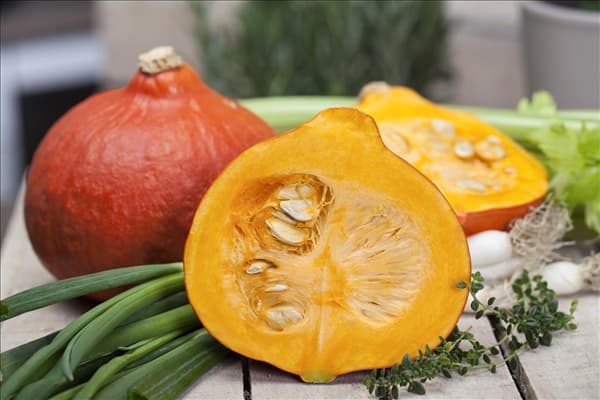 Cucurbita pepo
