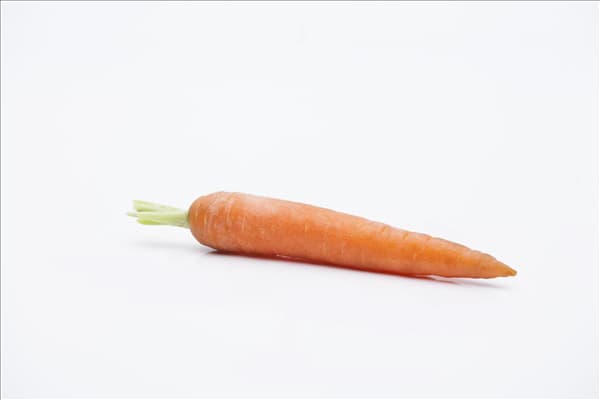 Daucus carota var. sativus
